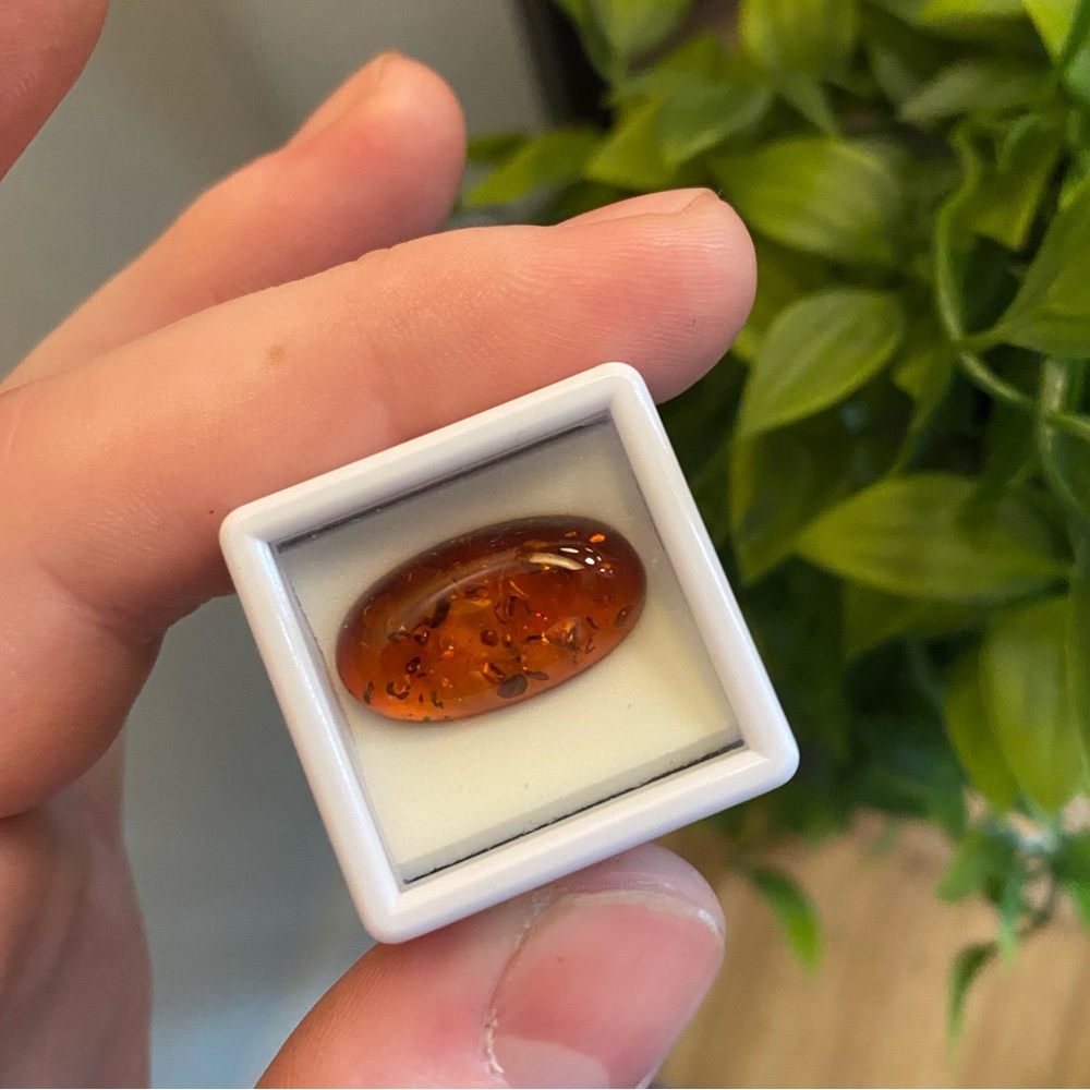Baltic Amber cabochon